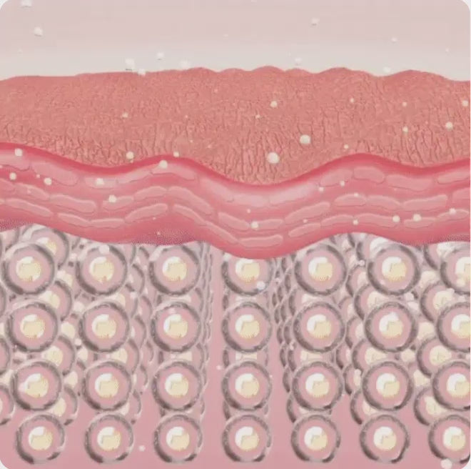 Charger la vidéo : 